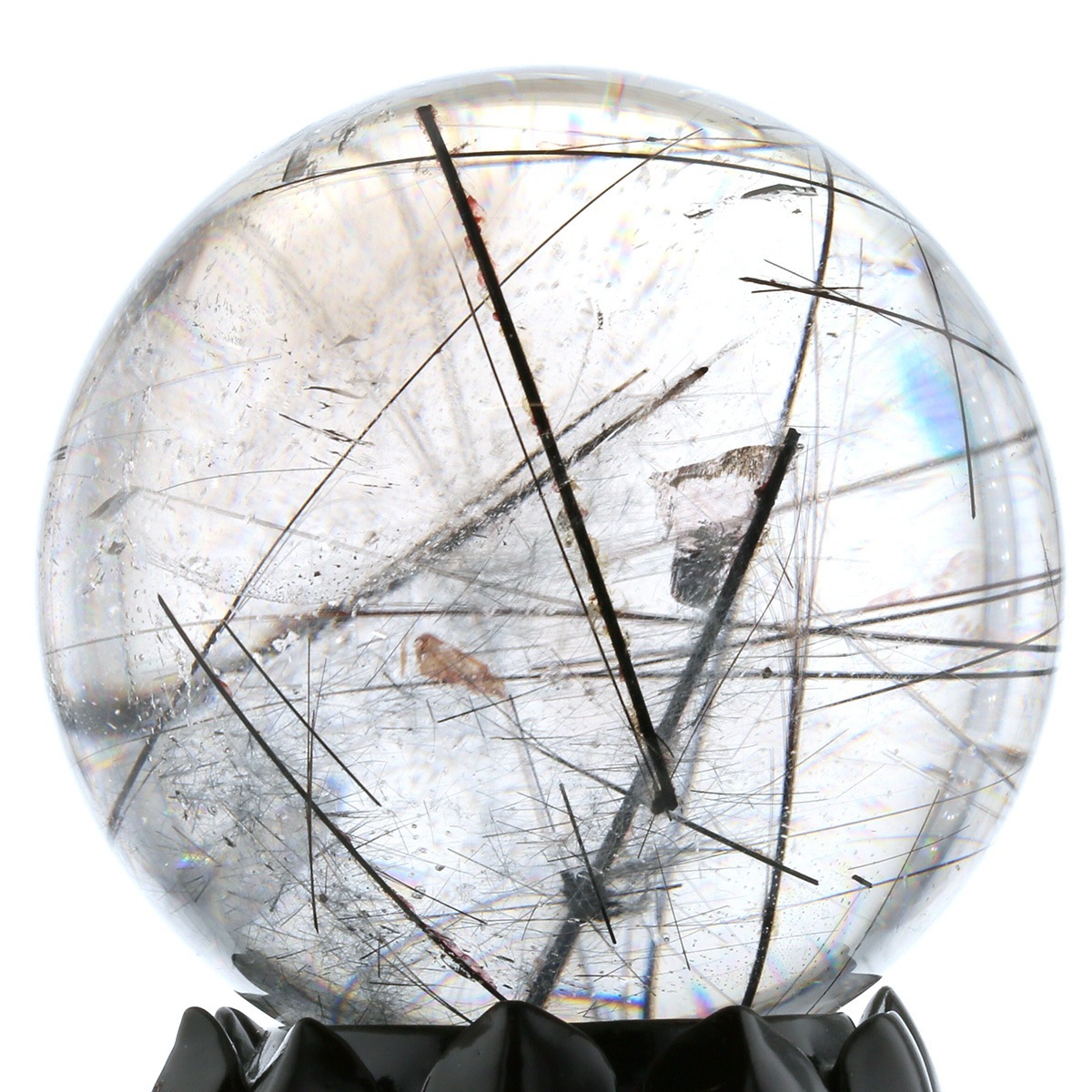 �֥�å������ �ʥȥ�ޥ��˴ݶ̡����ե�����������դ��� 75mm�� No.20  [ ������ʪ������ʪ ]  