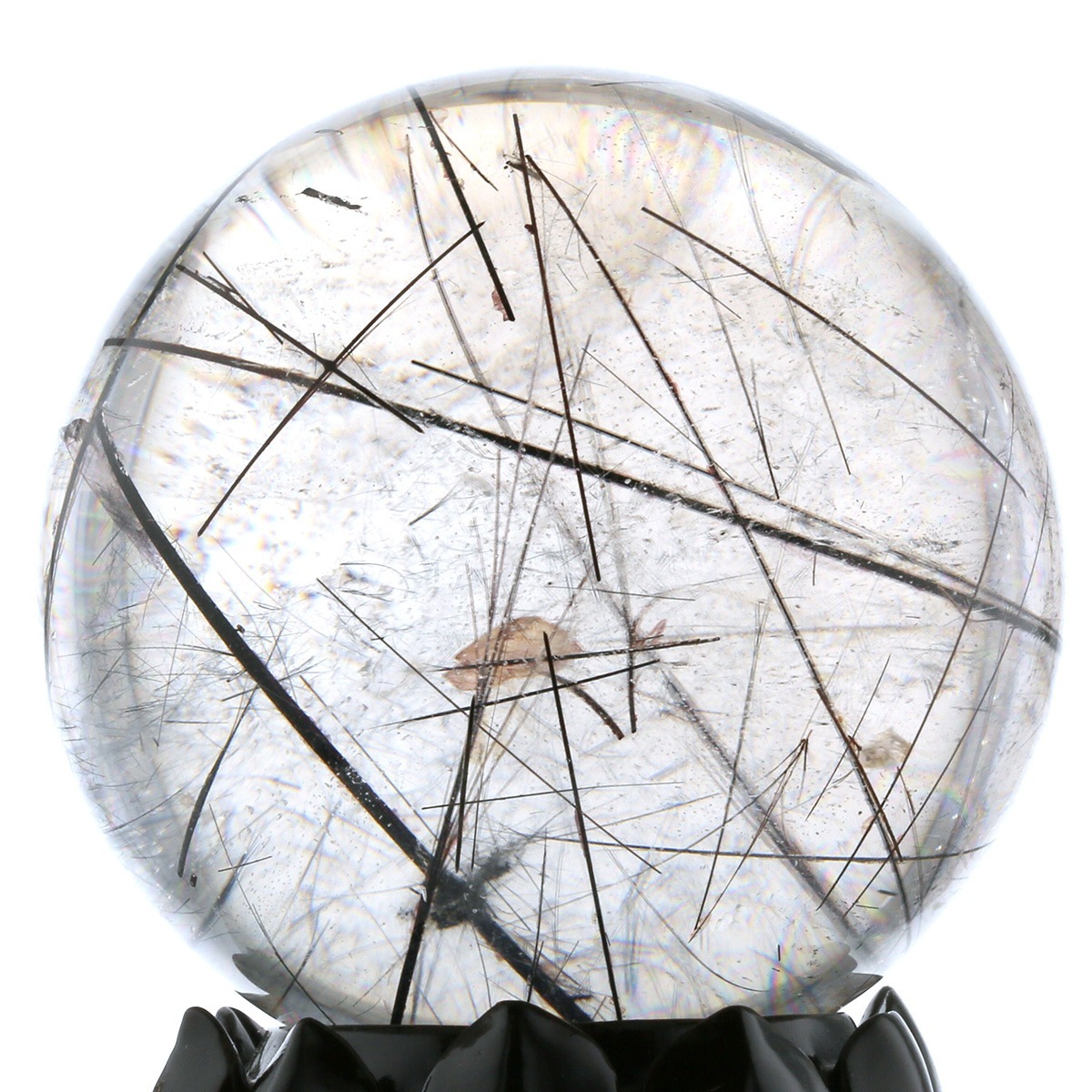 �֥�å������ �ʥȥ�ޥ��˴ݶ̡����ե�����������դ��� 75mm�� No.20  [ ������ʪ������ʪ ]  