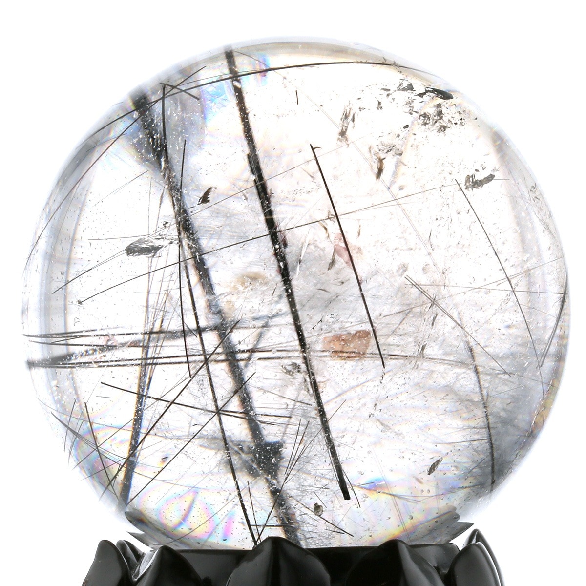 �֥�å������ �ʥȥ�ޥ��˴ݶ̡����ե�����������դ��� 75mm�� No.20  [ ������ʪ������ʪ ]  