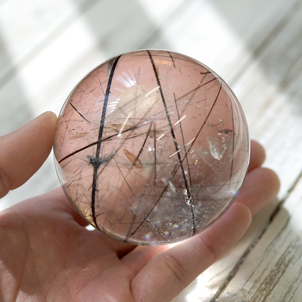 �֥�å������ �ʥȥ�ޥ��˴ݶ̡����ե�����������դ��� 75mm�� No.20  [ ������ʪ������ʪ ]  