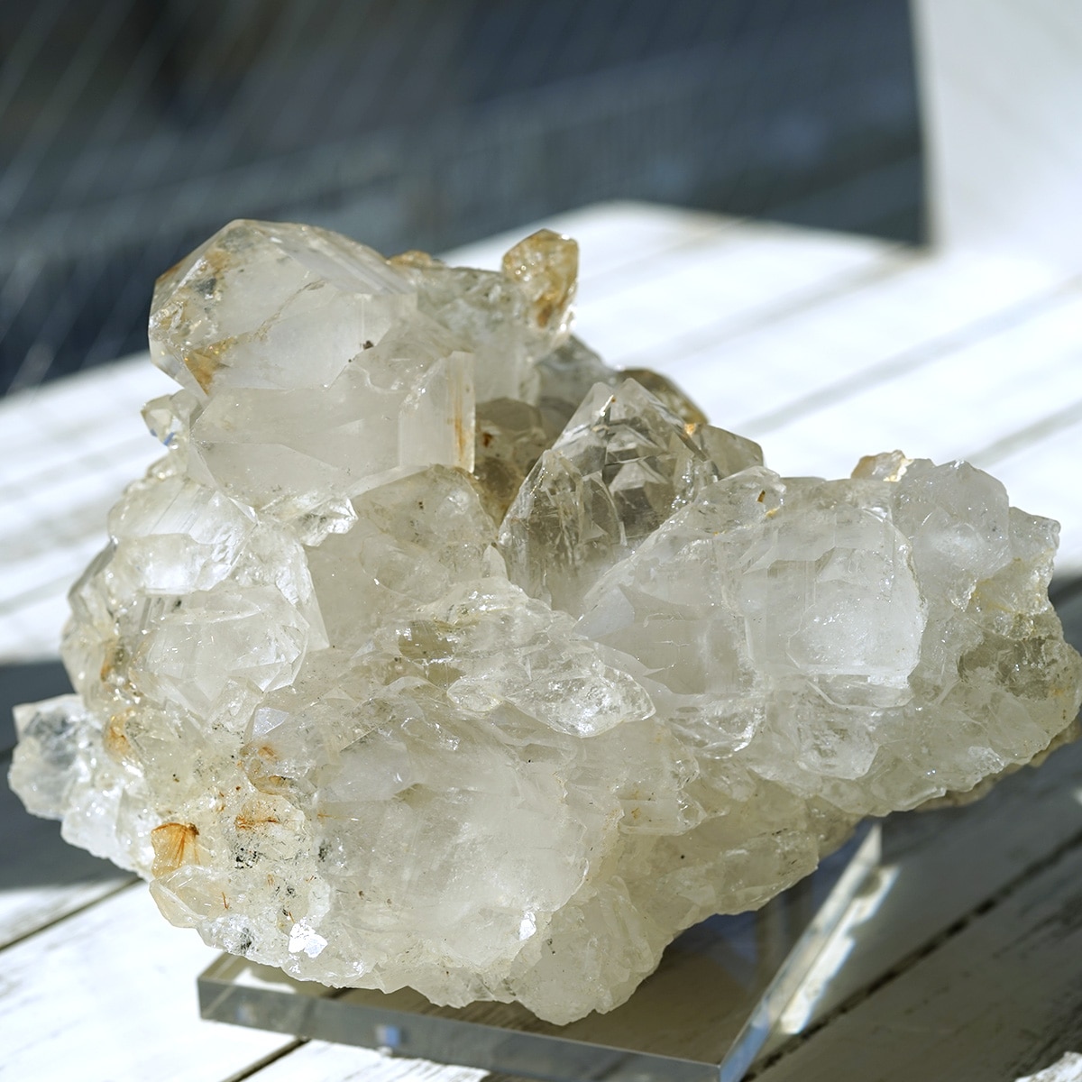 6_000000003325.jpg?1750235152