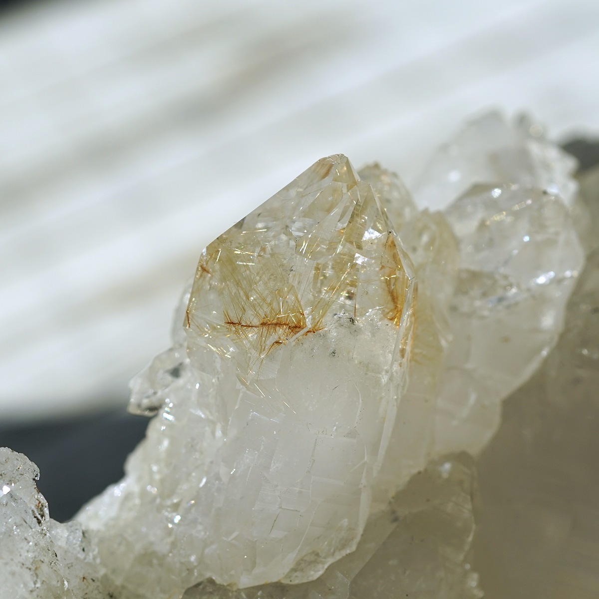 �ҥޥ��徽 ������ɥ�������� ���饹���� ��Kullu Parvati Valley / ���롦�ѡ�������ƥ���ë�� ���� No.32   [ ������ʪ������ʪ ]  