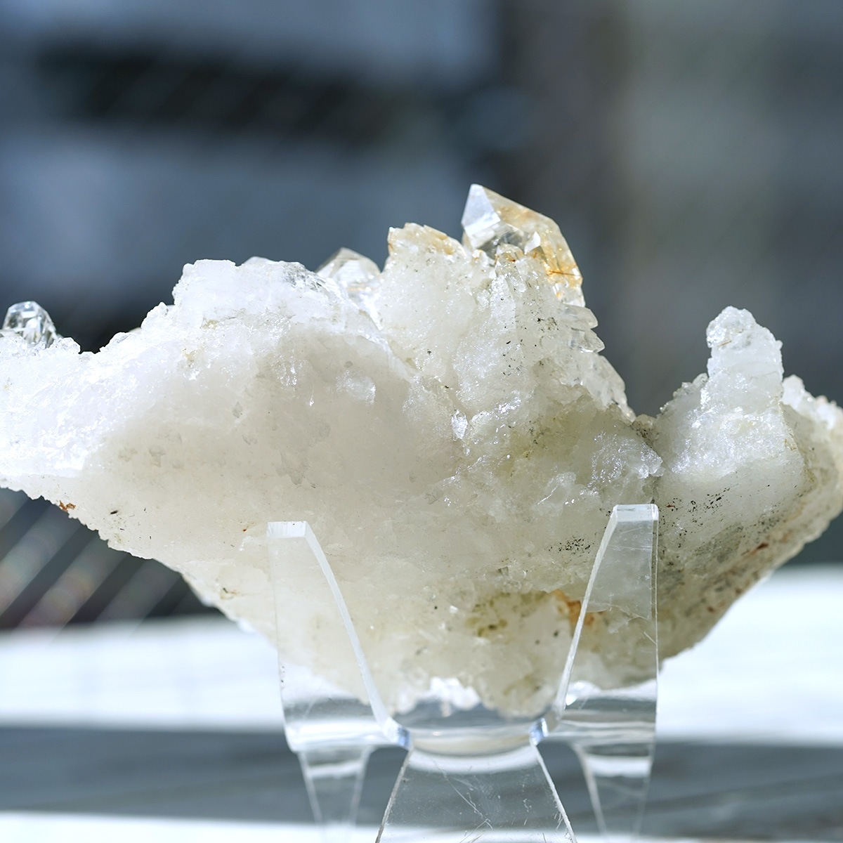 �ҥޥ��徽 ������ɥ�������� ���饹���� ��Kullu Parvati Valley / ���롦�ѡ�������ƥ���ë�� ���� No.32   [ ������ʪ������ʪ ]  