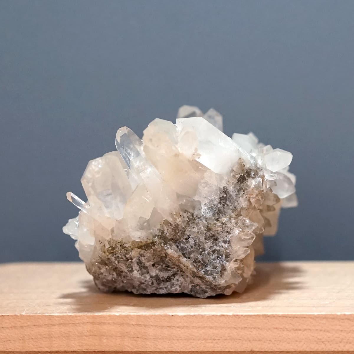 �ҥޥ��徽 ������ɥ�������� ���饹���� ��Kullu Parvati Valley / ���롦�ѡ�������ƥ���ë�� ���� No.32   [ ������ʪ������ʪ ]  