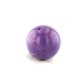 �ǹ���5A�� �����饤�� �ӡ��� 10mm�� No.1  [ ������ʪ������ʪ ]