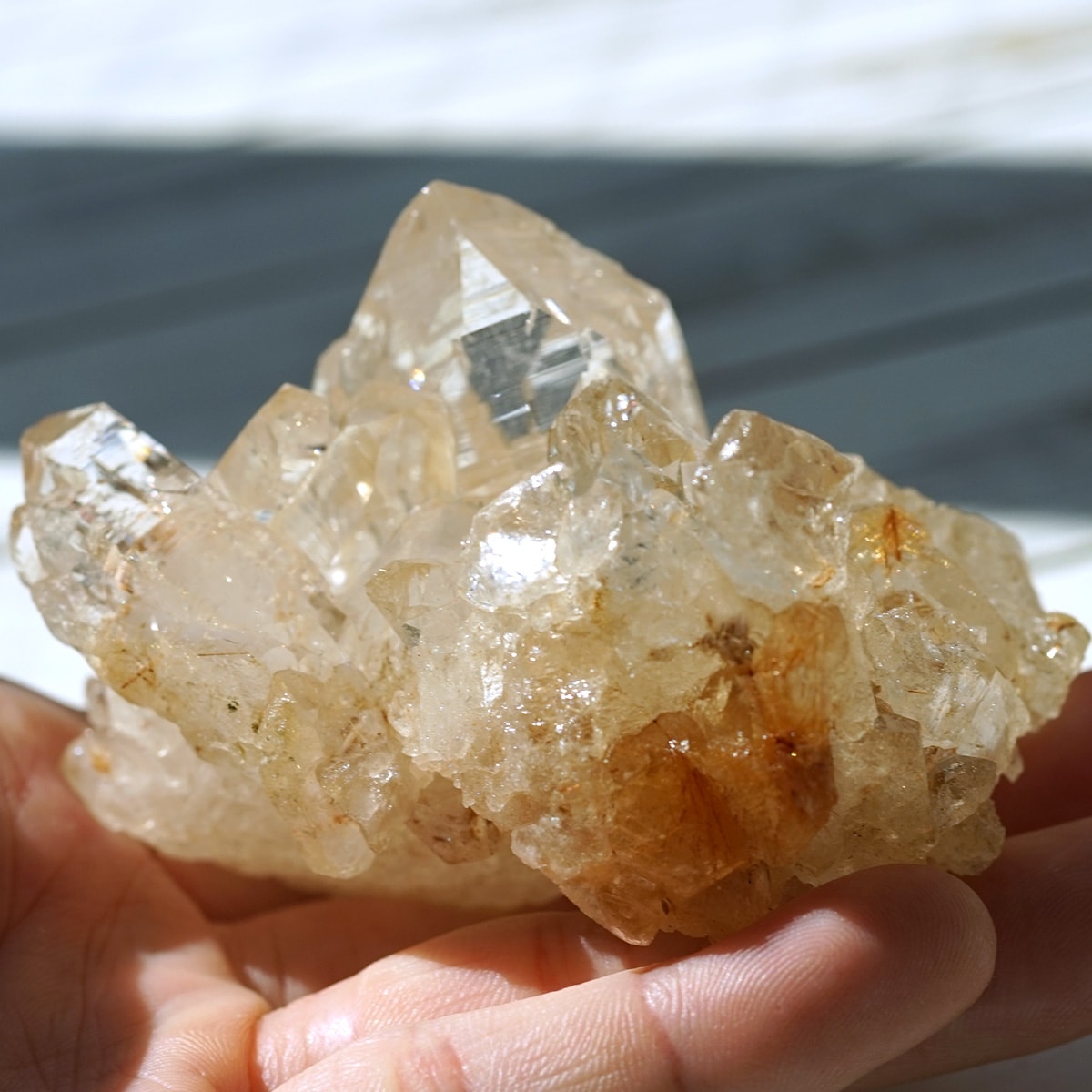 ҥޥ徽 ɥ 饹 Kullu Parvati Valley / 롦ѡƥë  No.22   [ ʪʪ ]  