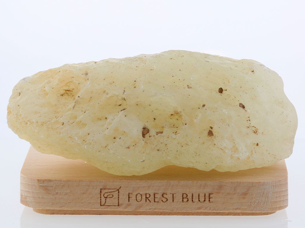 ��ӥ��󥰥饹 ���� No.38  �ǹ��