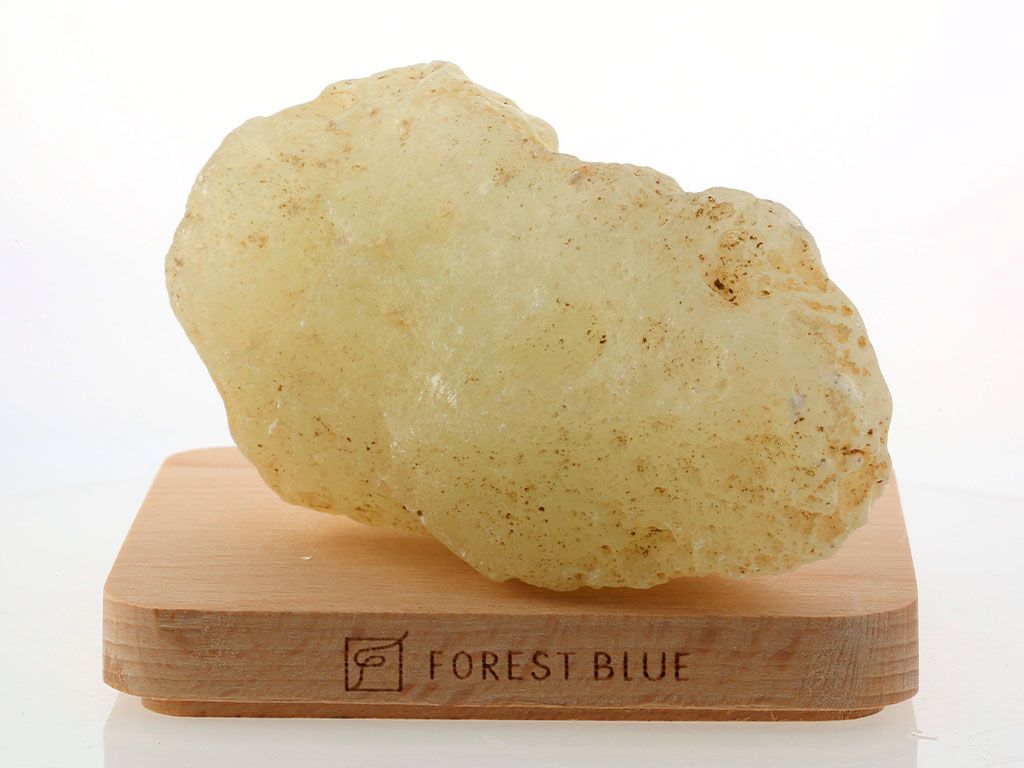 ��ӥ��󥰥饹 ���� No.38  �ǹ��