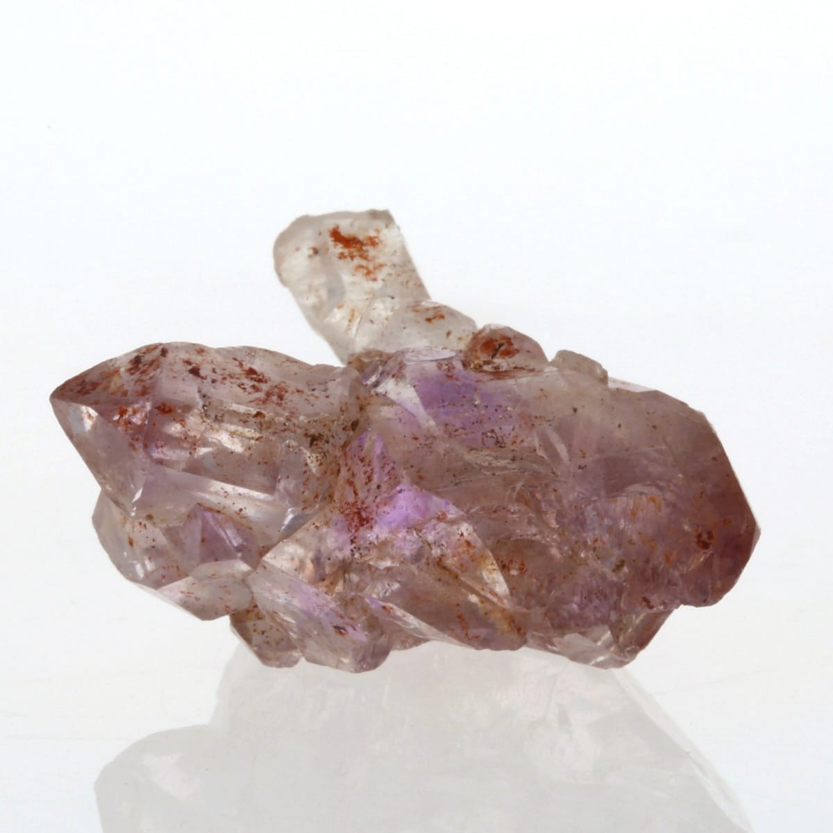 ���᥸���ȥ��쥹����� ���� No.1  [ ������ʪ������ʪ ]  