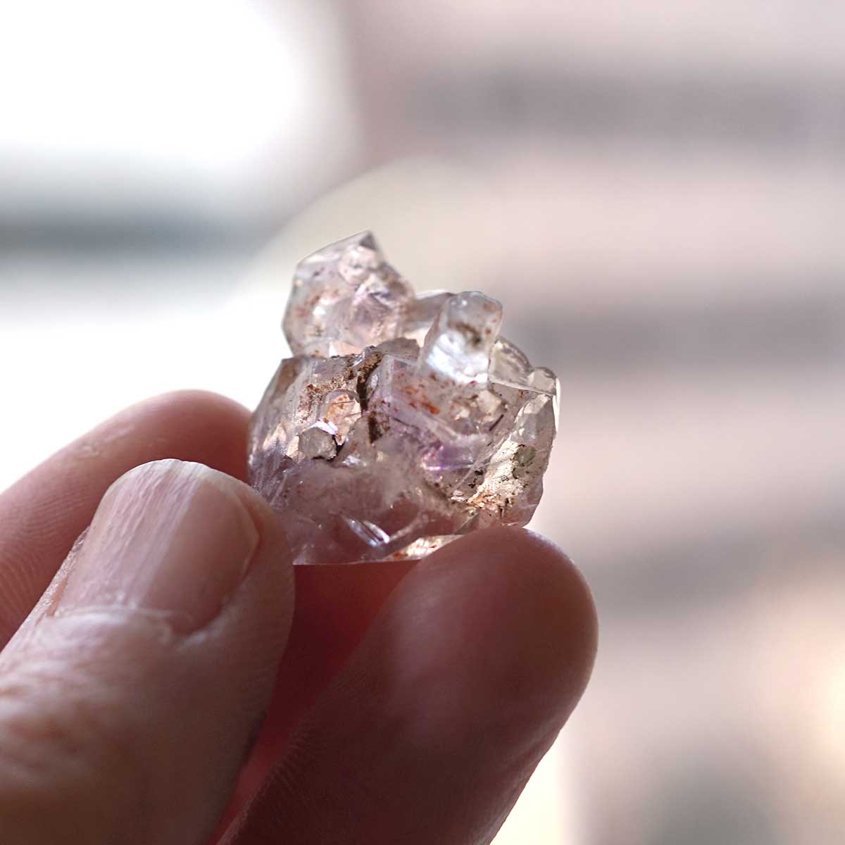 ���᥸���ȥ��쥹����� ���� No.1  [ ������ʪ������ʪ ]  