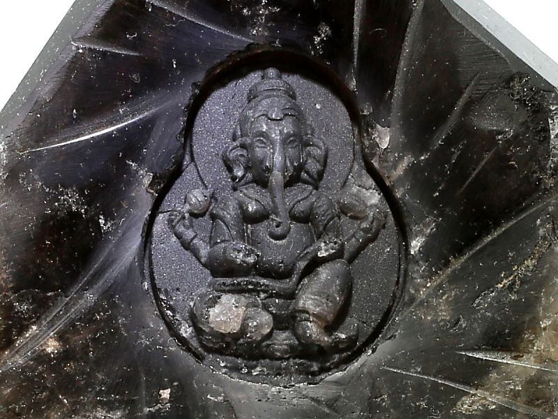 ���徽 ���͡�����Ħʪ (��������դ�) No.64