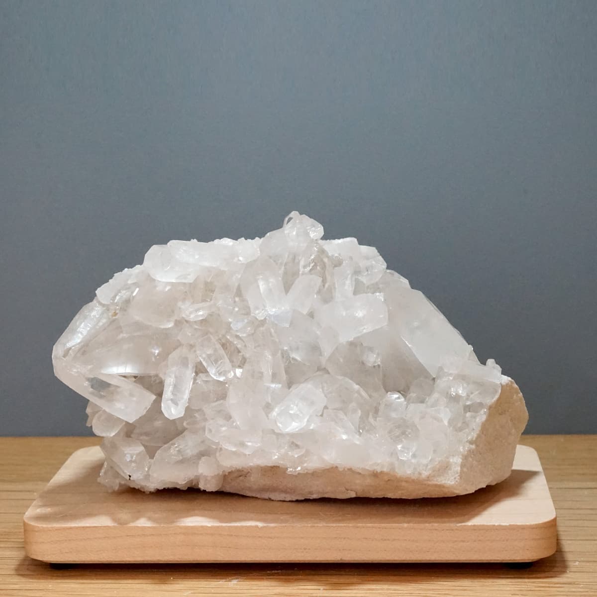 �ҥޥ��徽 ���饹���������Сʥ����ë�� No.15  [ ������ʪ������ʪ ]  