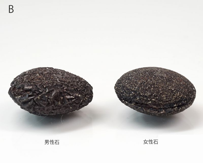 クレア様ボジストーン　bojistone ボージーストーン | STORES