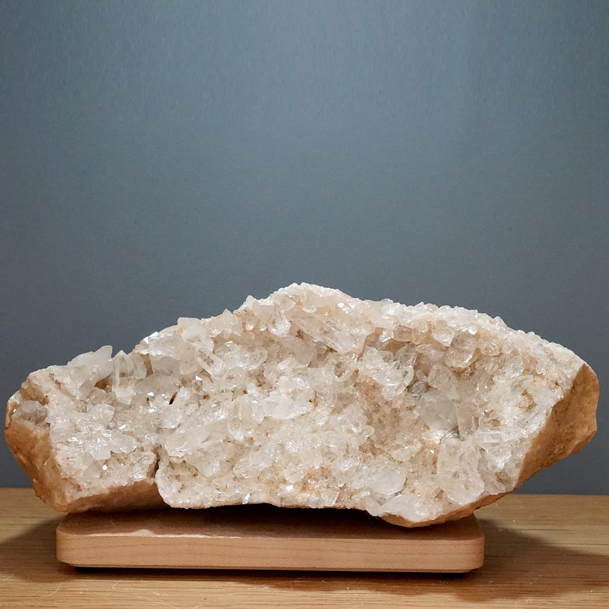 �ҥޥ��徽 ���饹���������Сʥ����ë�� No.5  [ ������ʪ������ʪ ]  