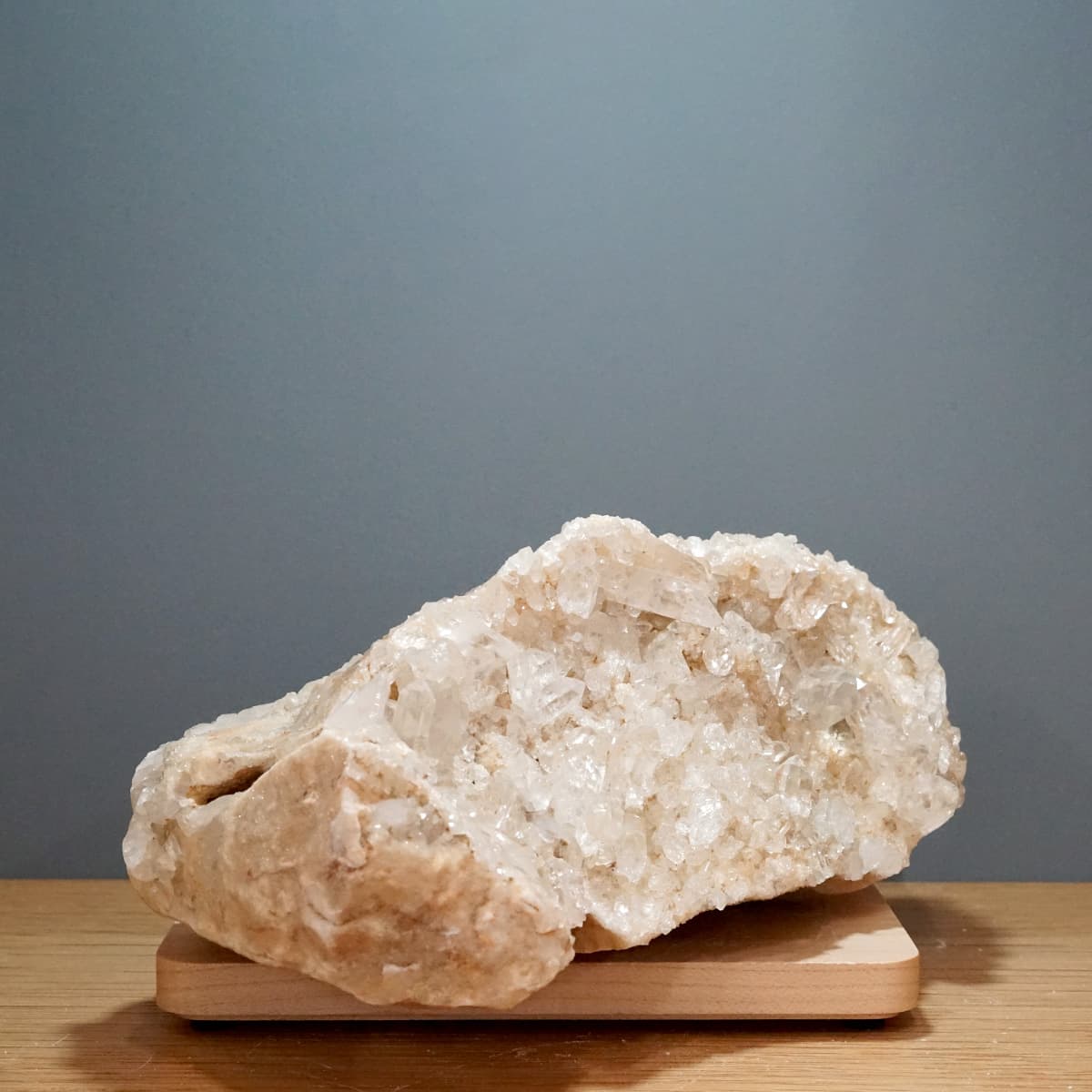 �ҥޥ��徽 ���饹���������Сʥ����ë�� No.5  [ ������ʪ������ʪ ]  