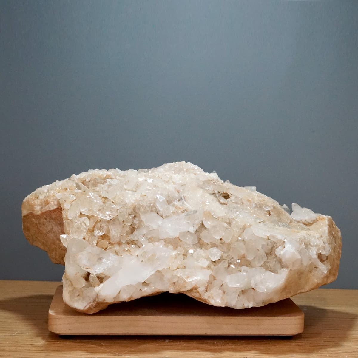 �ҥޥ��徽 ���饹���������Сʥ����ë�� No.5  [ ������ʪ������ʪ ]  