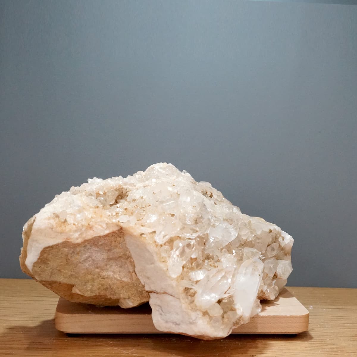 �ҥޥ��徽 ���饹���������Сʥ����ë�� No.5  [ ������ʪ������ʪ ]  