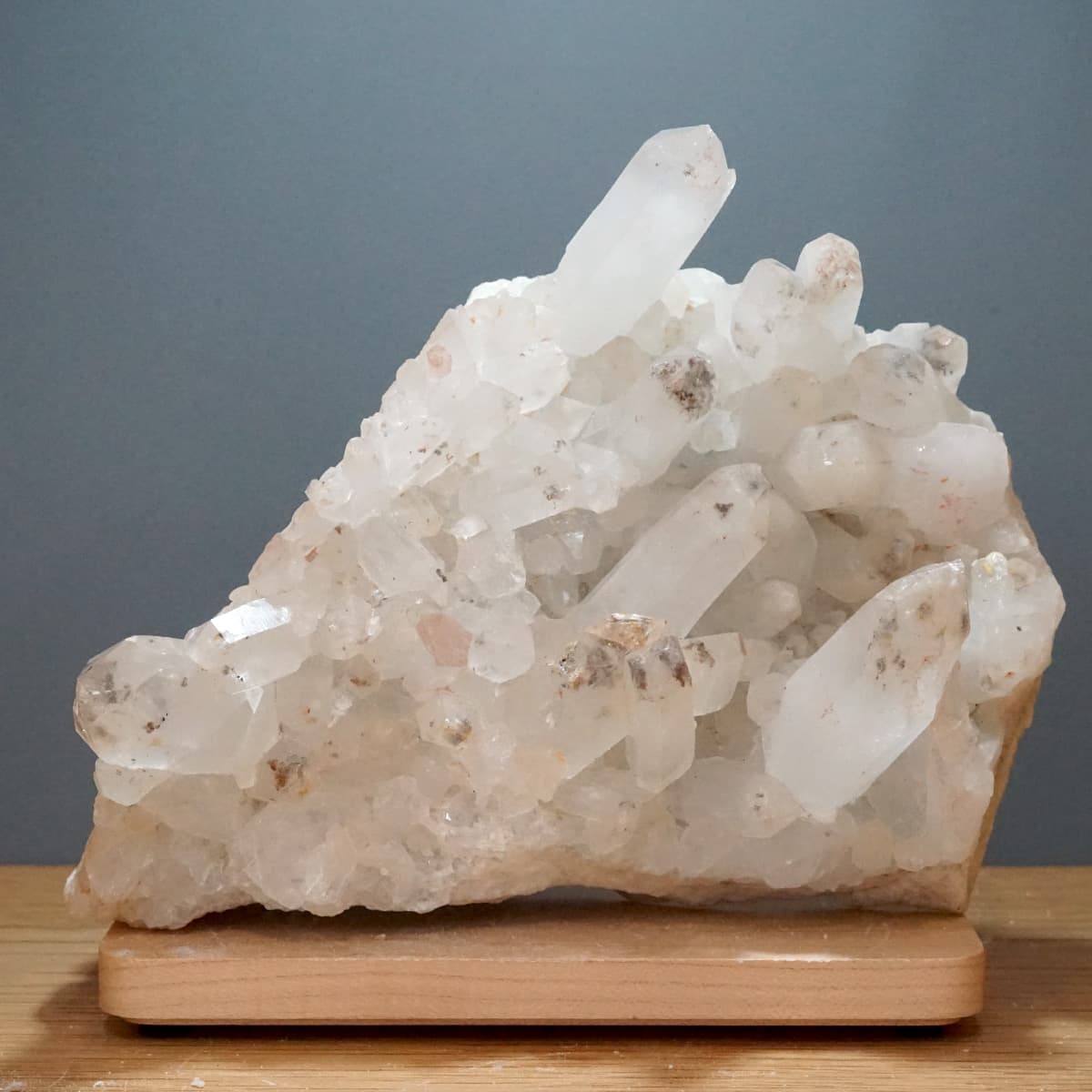 ҥޥ徽 饹Сʥë No.7  [ ʪʪ ]  