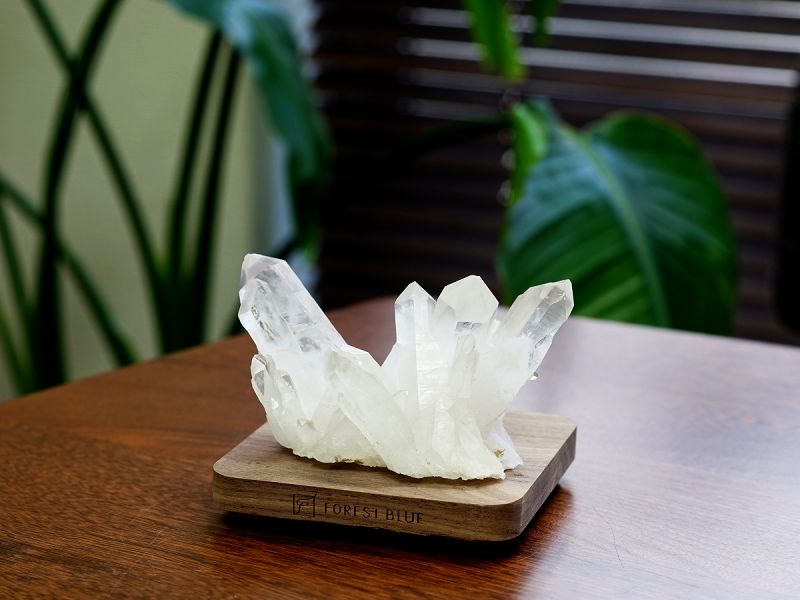 ŷ���徽 ���饹���������� �ʥޥ��������뻺�ˡ�����դ� No.3