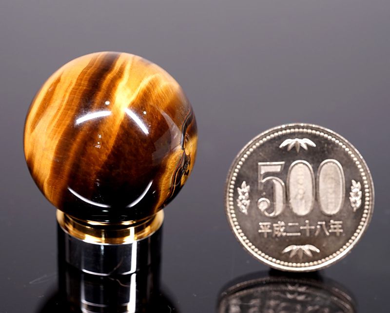 ������������ �ݶ���ʪ 30mm�� ��EARTHIST ����դ���