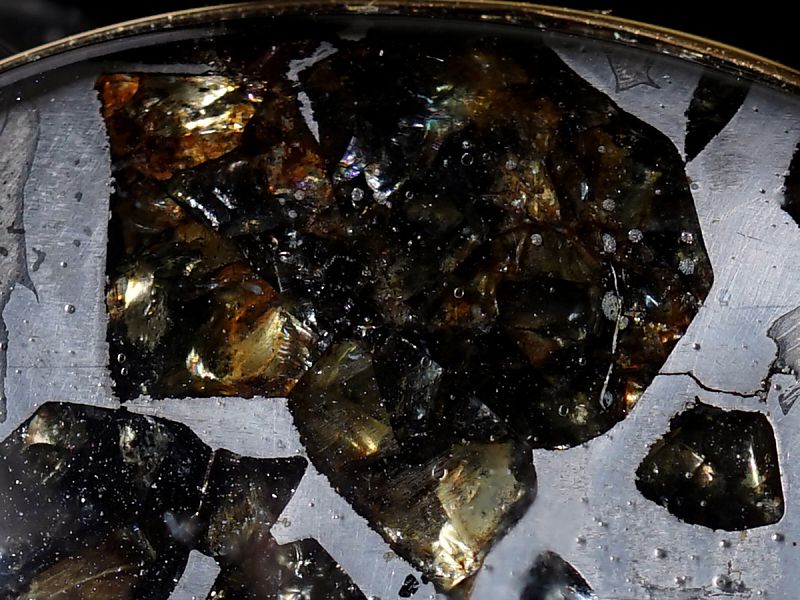 ѥ饵 ڥȥȥå 18⥤ɡ No.22 ʴ̽ա ڥץߥ