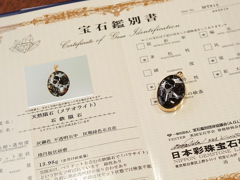 ѥ饵 ڥȥȥå 18⥤ɡ No.22 ʴ̽ա ڥץߥ