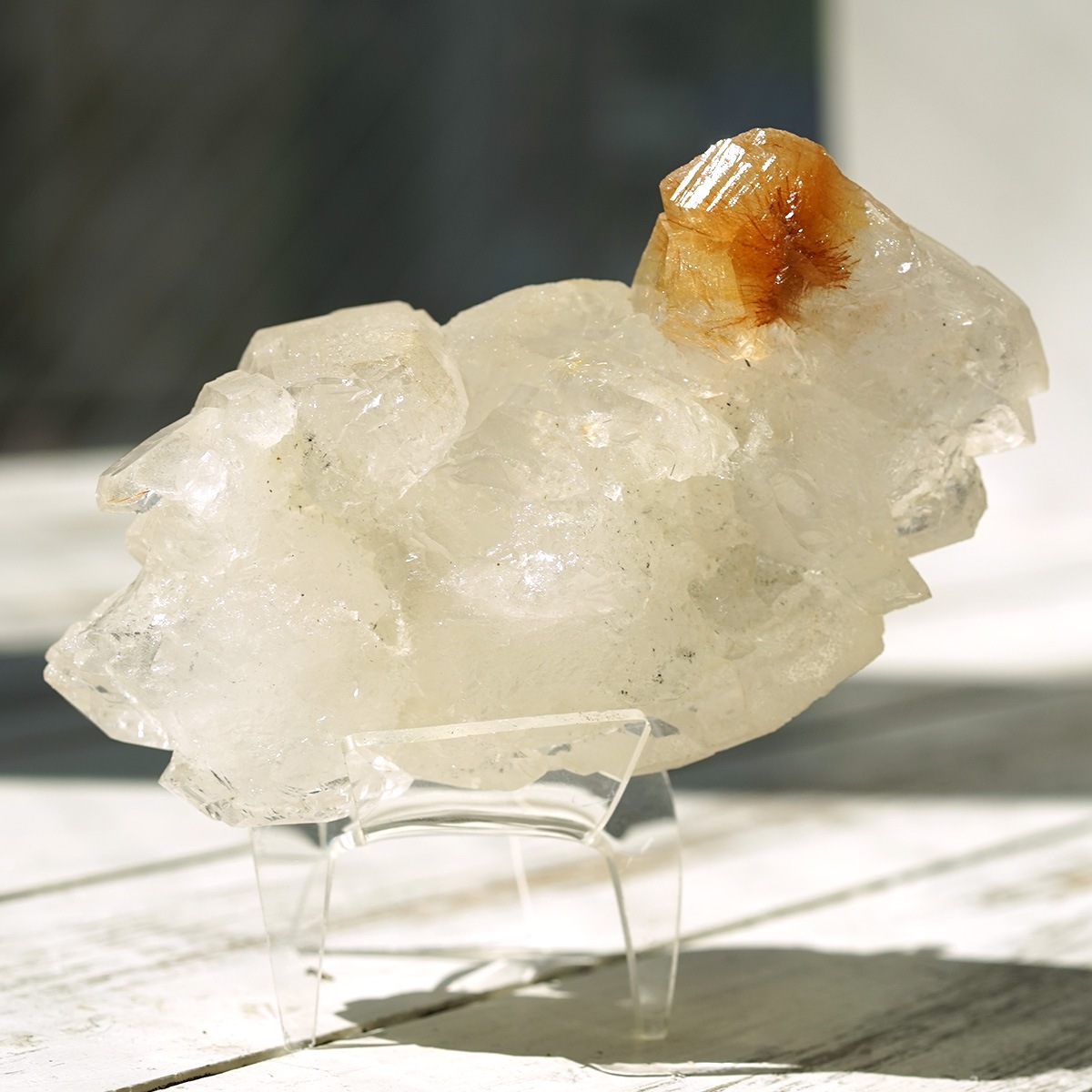 �ҥޥ��徽 ������ɥ�������� ���饹���� ��Kullu Parvati Valley / ���롦�ѡ�������ƥ���ë�� ���� No.28   [ ������ʪ������ʪ ]  