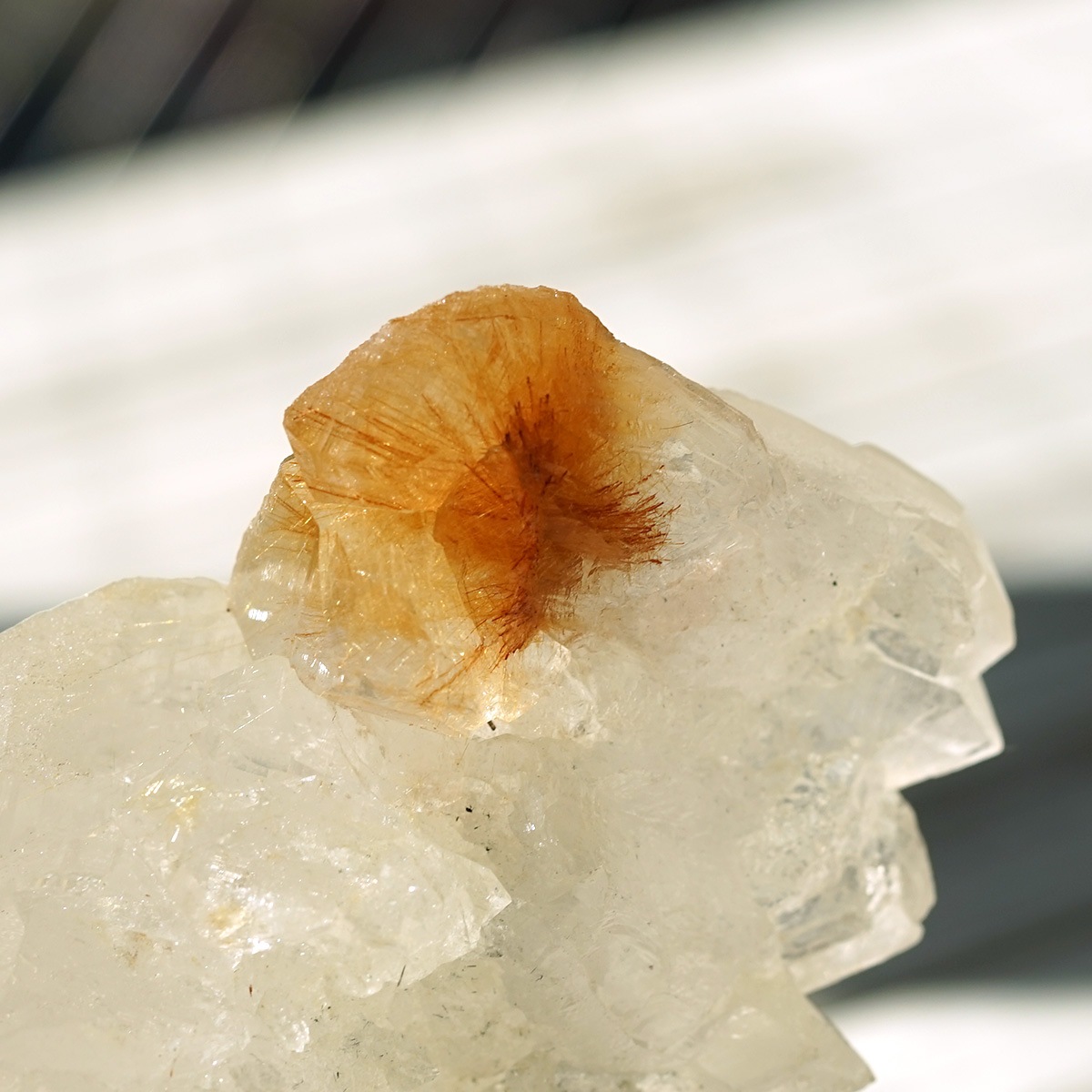 �ҥޥ��徽 ������ɥ�������� ���饹���� ��Kullu Parvati Valley / ���롦�ѡ�������ƥ���ë�� ���� No.28   [ ������ʪ������ʪ ]  