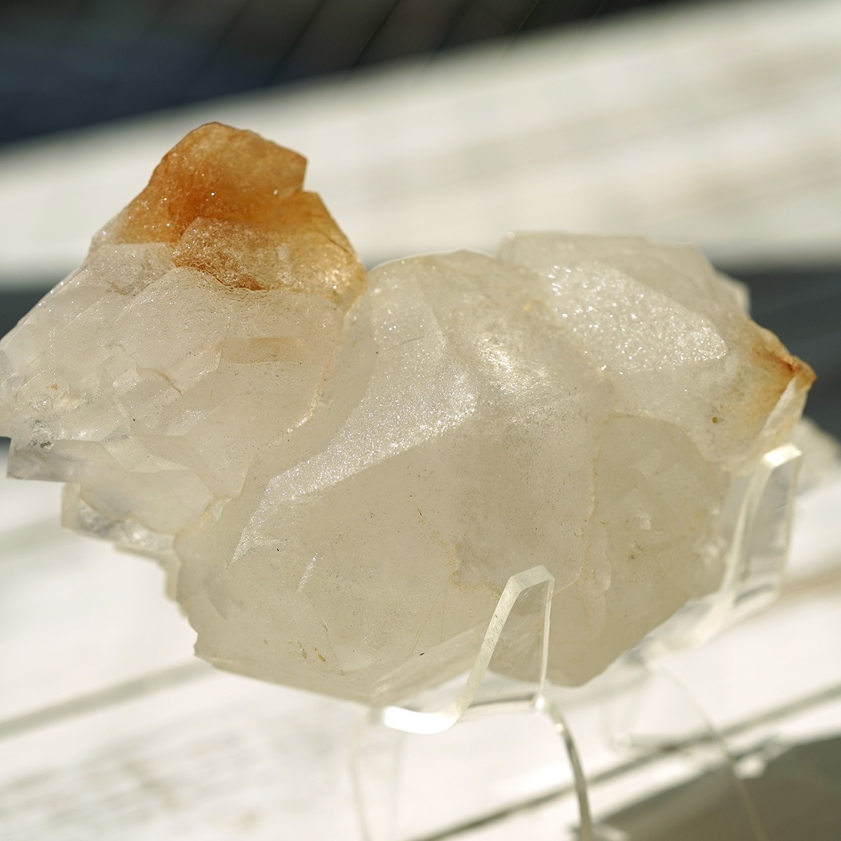 �ҥޥ��徽 ������ɥ�������� ���饹���� ��Kullu Parvati Valley / ���롦�ѡ�������ƥ���ë�� ���� No.28   [ ������ʪ������ʪ ]  