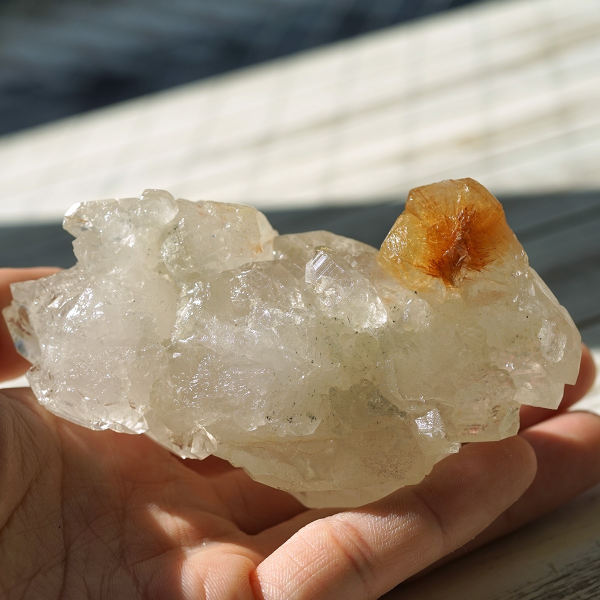 �ҥޥ��徽 ������ɥ�������� ���饹���� ��Kullu Parvati Valley / ���롦�ѡ�������ƥ���ë�� ���� No.28   [ ������ʪ������ʪ ]  