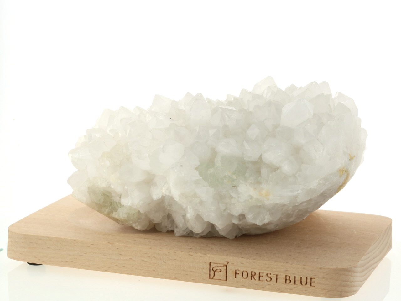 ŷ���徽 ���饹���������� �ʥ֥饸�뻺������դ� No.9�����������夢��