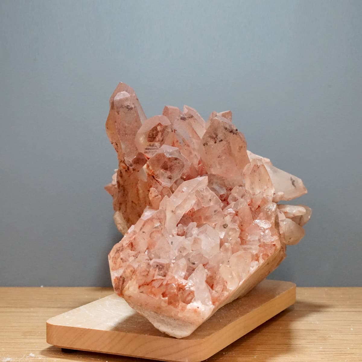 �ҥޥ��徽 ���饹���������Сʥ����ë�� No.13  [ ������ʪ������ʪ ]  