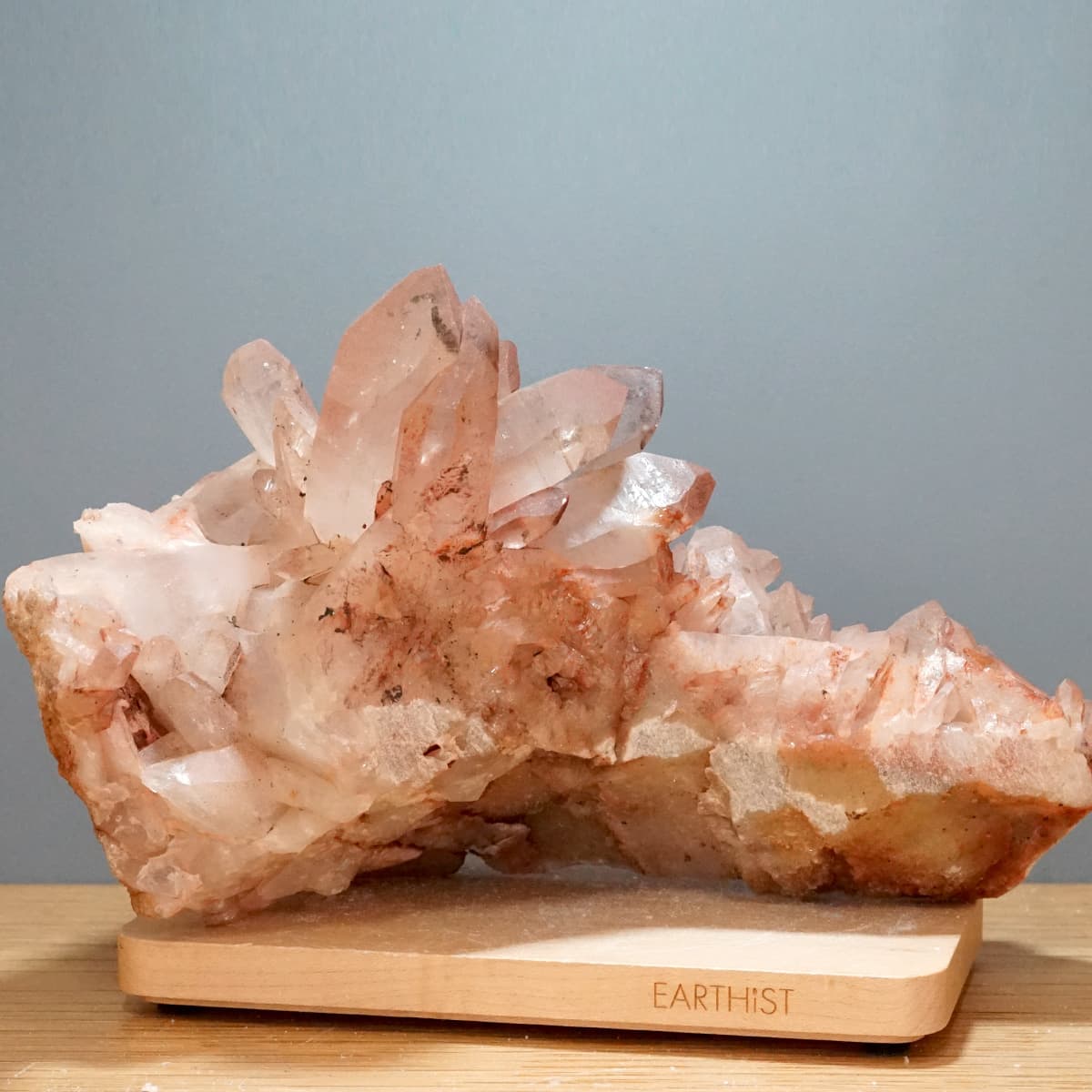 �ҥޥ��徽 ���饹���������Сʥ����ë�� No.13  [ ������ʪ������ʪ ]  