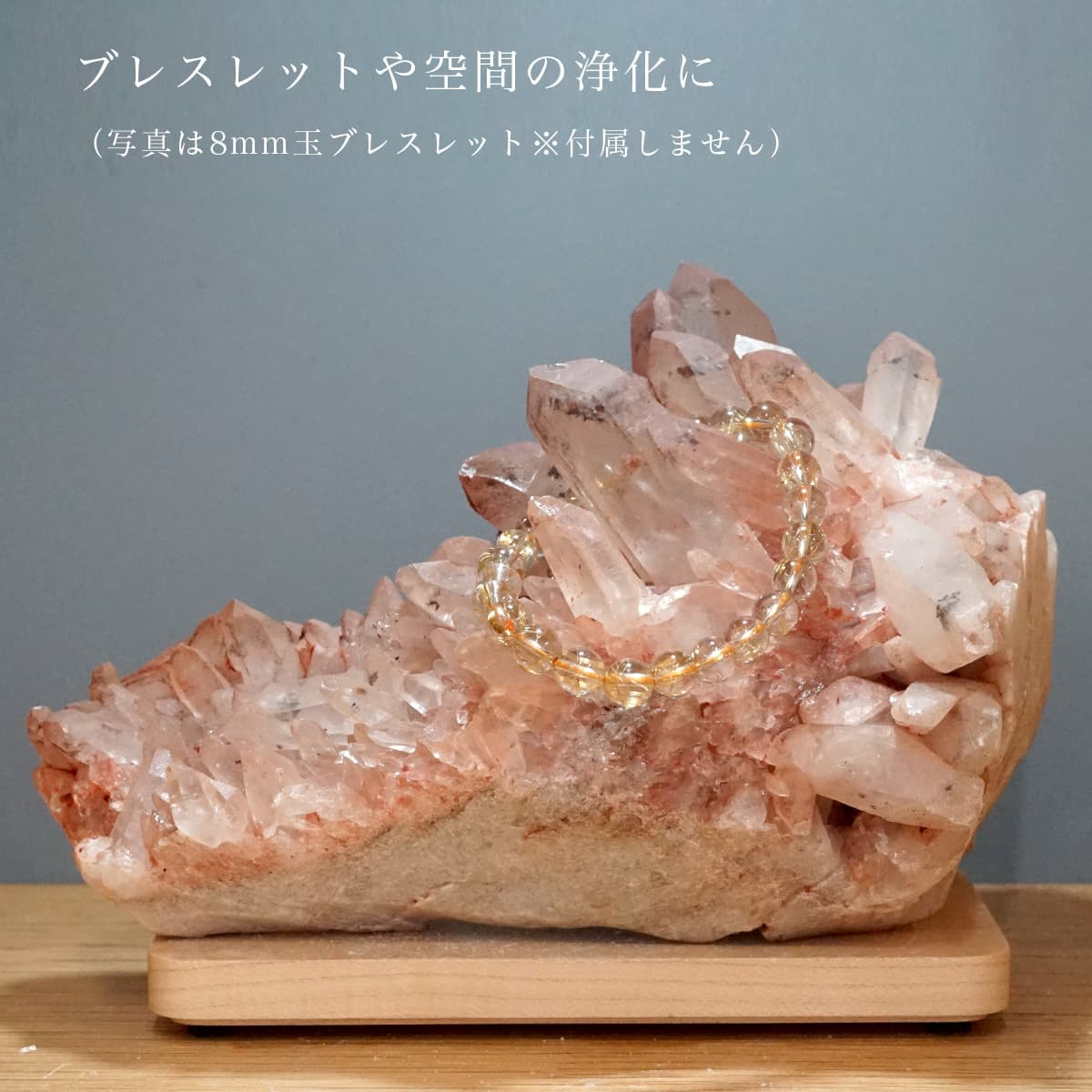 �ҥޥ��徽 ���饹���������Сʥ����ë�� No.13  [ ������ʪ������ʪ ]  