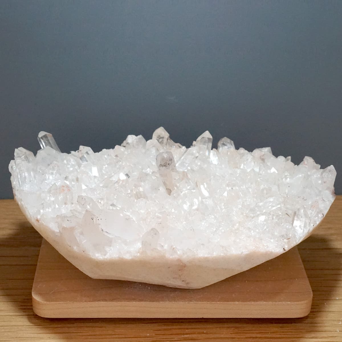 �ҥޥ��徽 ���饹���������Сʥ����ë�� No.4  [ ������ʪ������ʪ ]  