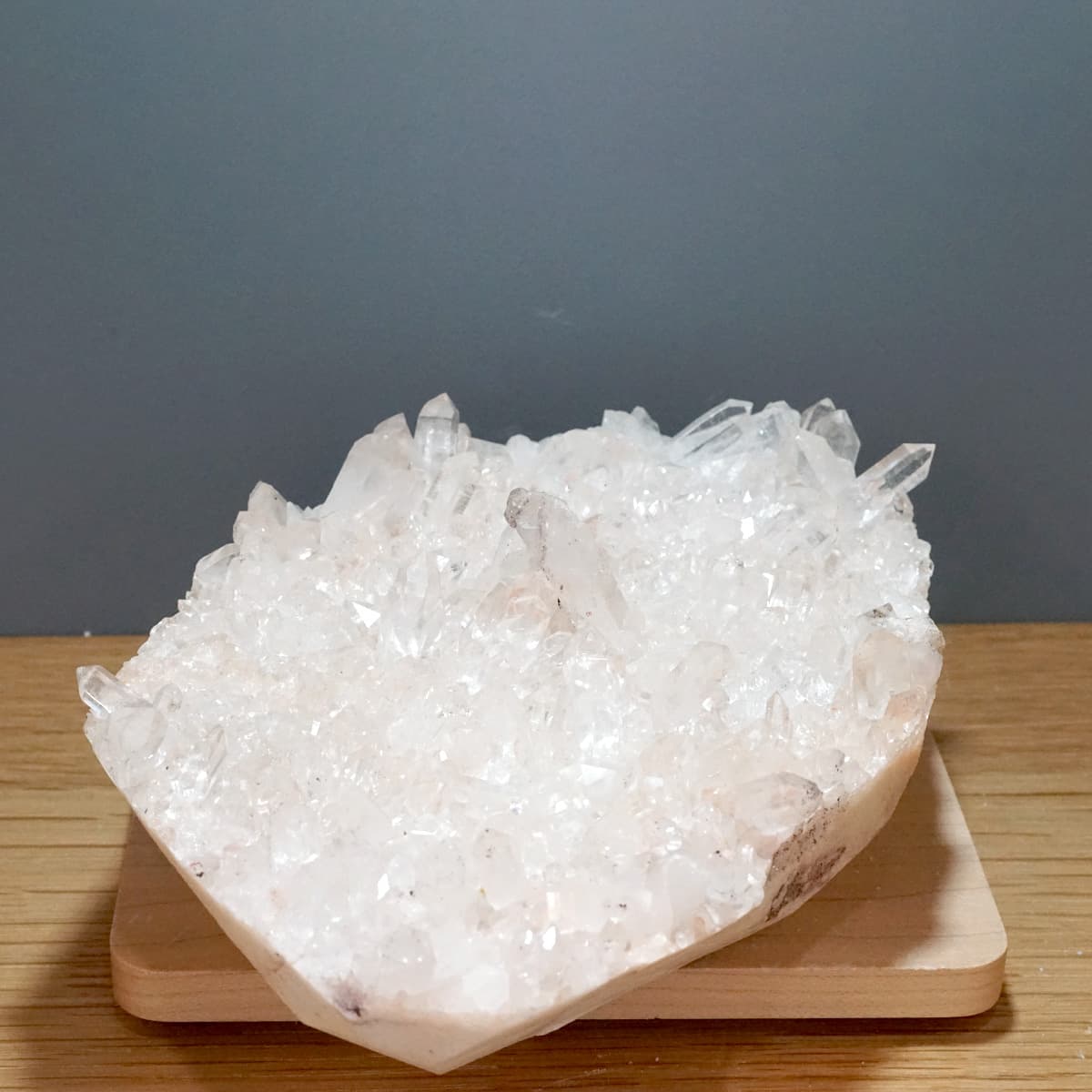 �ҥޥ��徽 ���饹���������Сʥ����ë�� No.4  [ ������ʪ������ʪ ]  