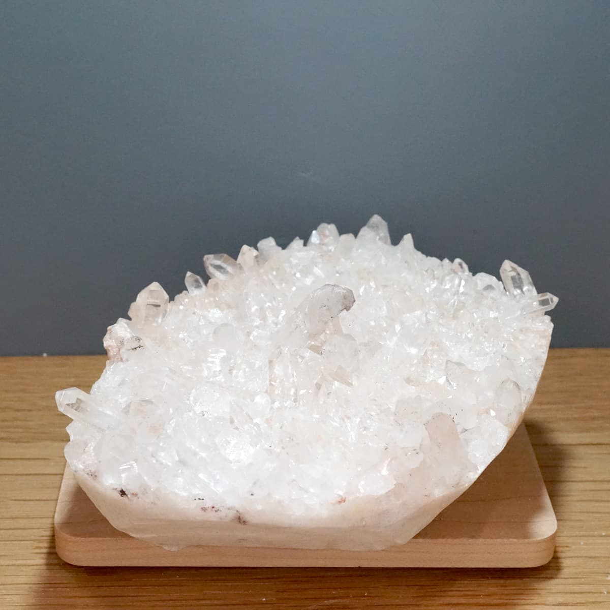 �ҥޥ��徽 ���饹���������Сʥ����ë�� No.4  [ ������ʪ������ʪ ]  