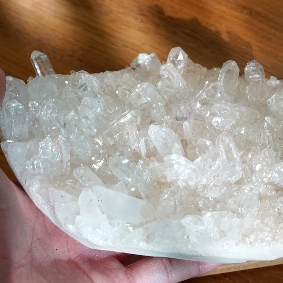 �ҥޥ��徽 ���饹���������Сʥ����ë�� No.4  [ ������ʪ������ʪ ]  