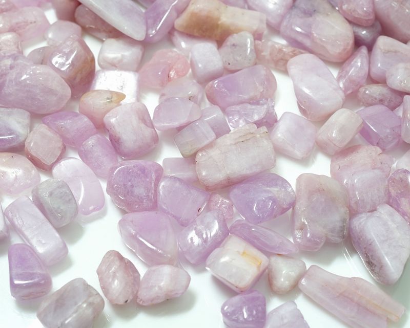 ����ĥ����� ��������å� Type.1����100g ������