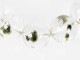 ���꡼��ȥ�ޥ�� ���� �������� �֥쥹��å� 16.5mm�� No.4 �ǹ��ڥץ�ߥ����
