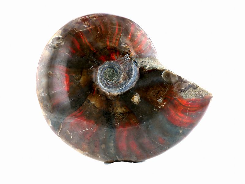 �����饤�� �ʥ����ʥ��ȡ� ���� ���� No.7