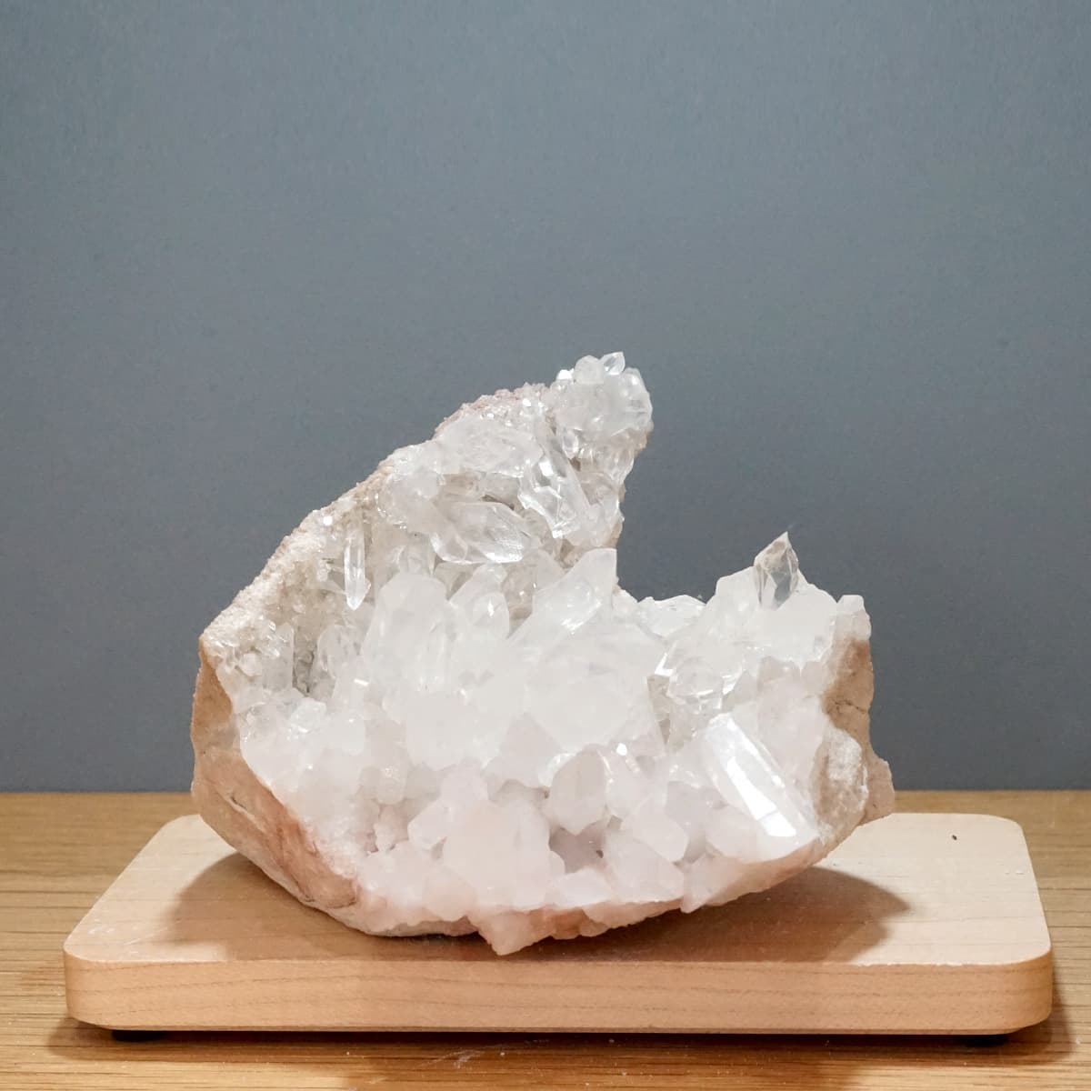 �ҥޥ��徽 ���饹���������Сʥ����ë�� No.14  [ ������ʪ������ʪ ]  