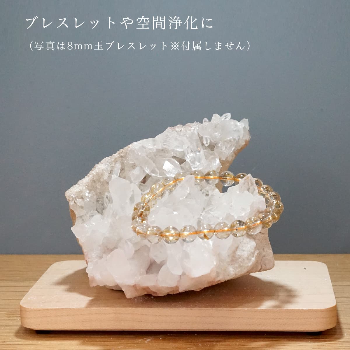 �ҥޥ��徽 ���饹���������Сʥ����ë�� No.14  [ ������ʪ������ʪ ]  