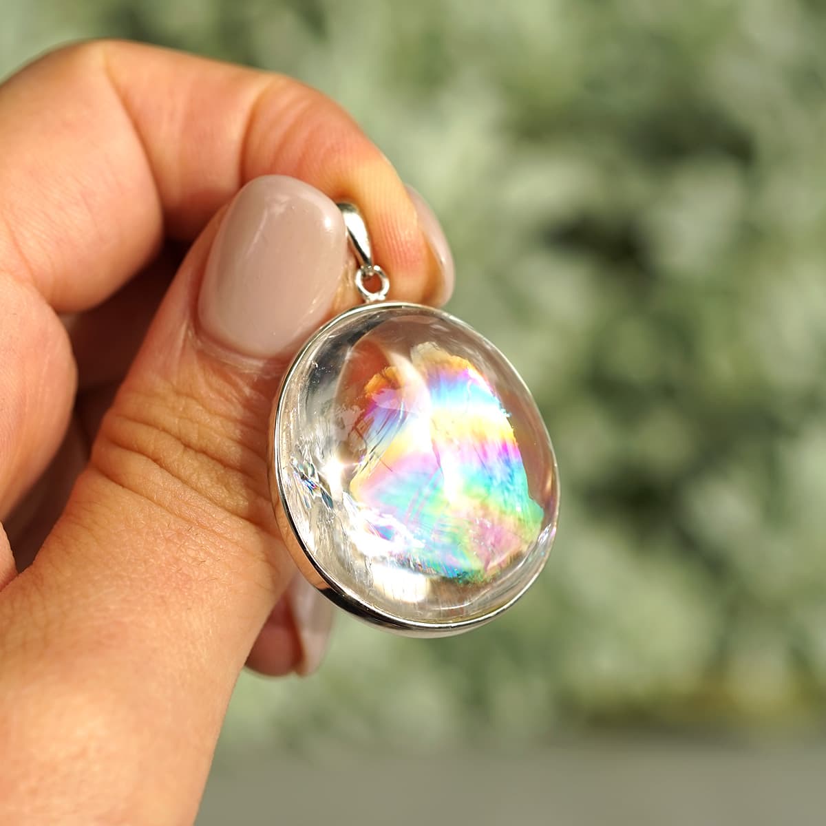 �쥤��ܡ��徽 �ʥ����ꥹ�������ġ˥ڥ����ȥȥå� No.5 