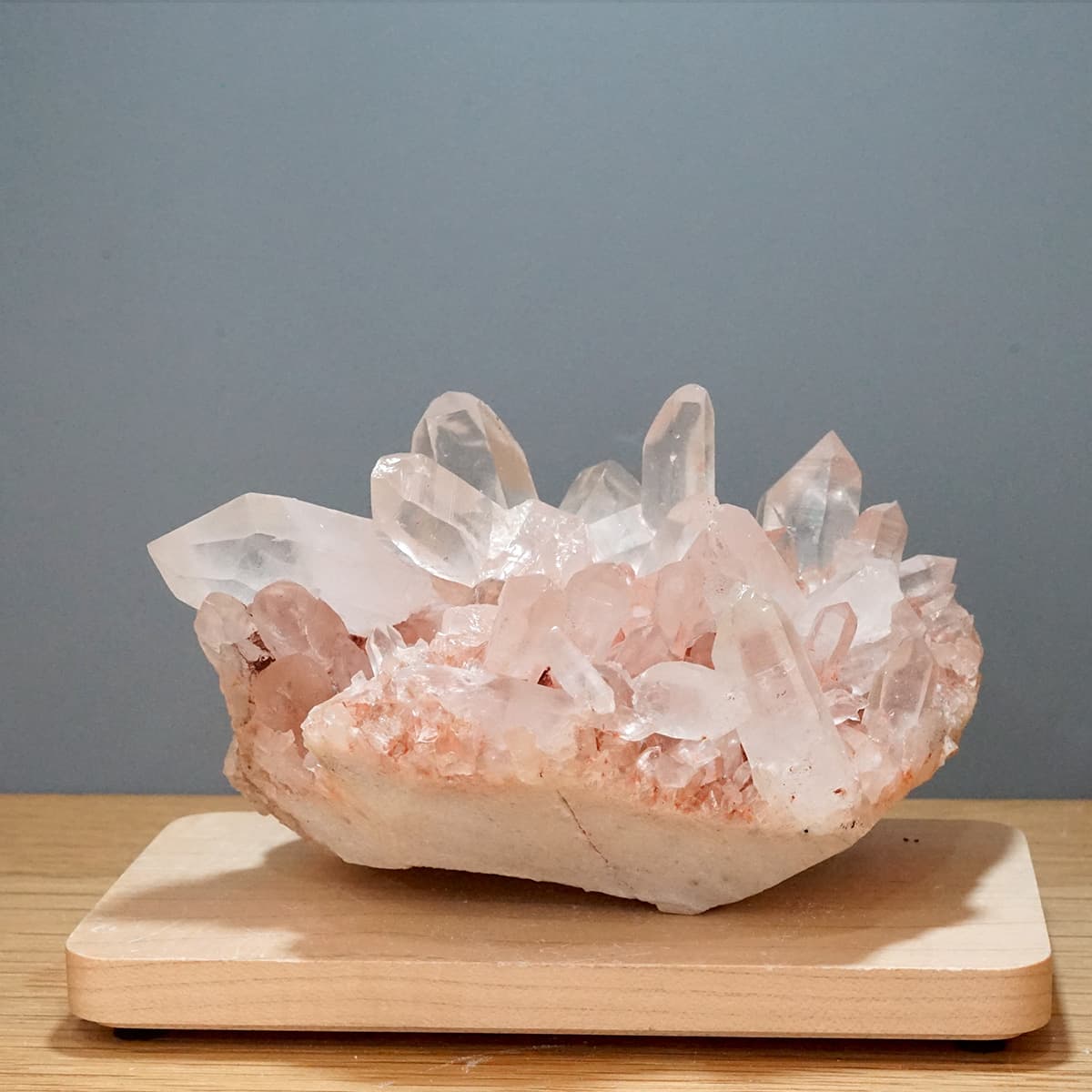 �ҥޥ��徽 ���饹���������Сʥ����ë�� No.9  [ ������ʪ������ʪ ]  