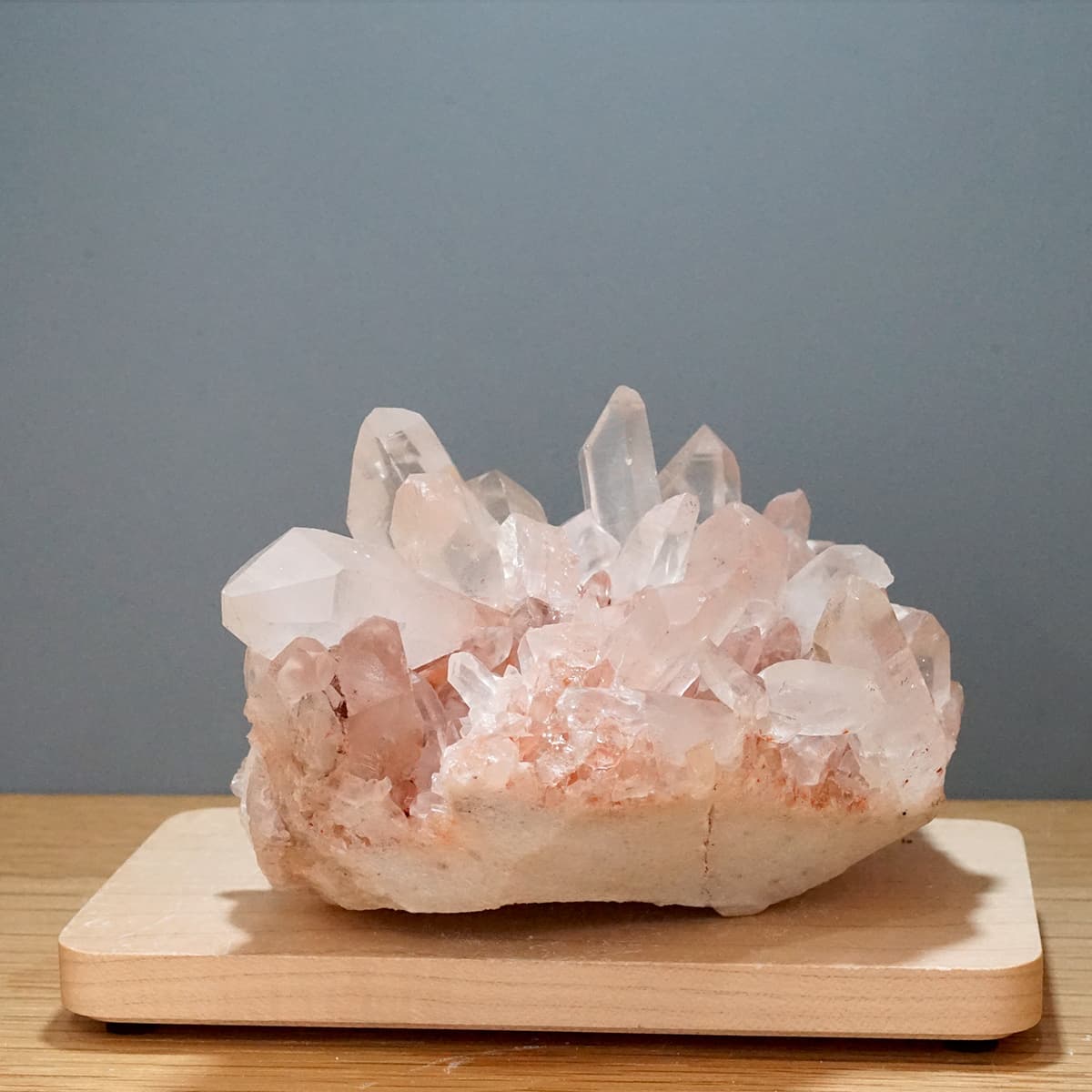 �ҥޥ��徽 ���饹���������Сʥ����ë�� No.9  [ ������ʪ������ʪ ]  