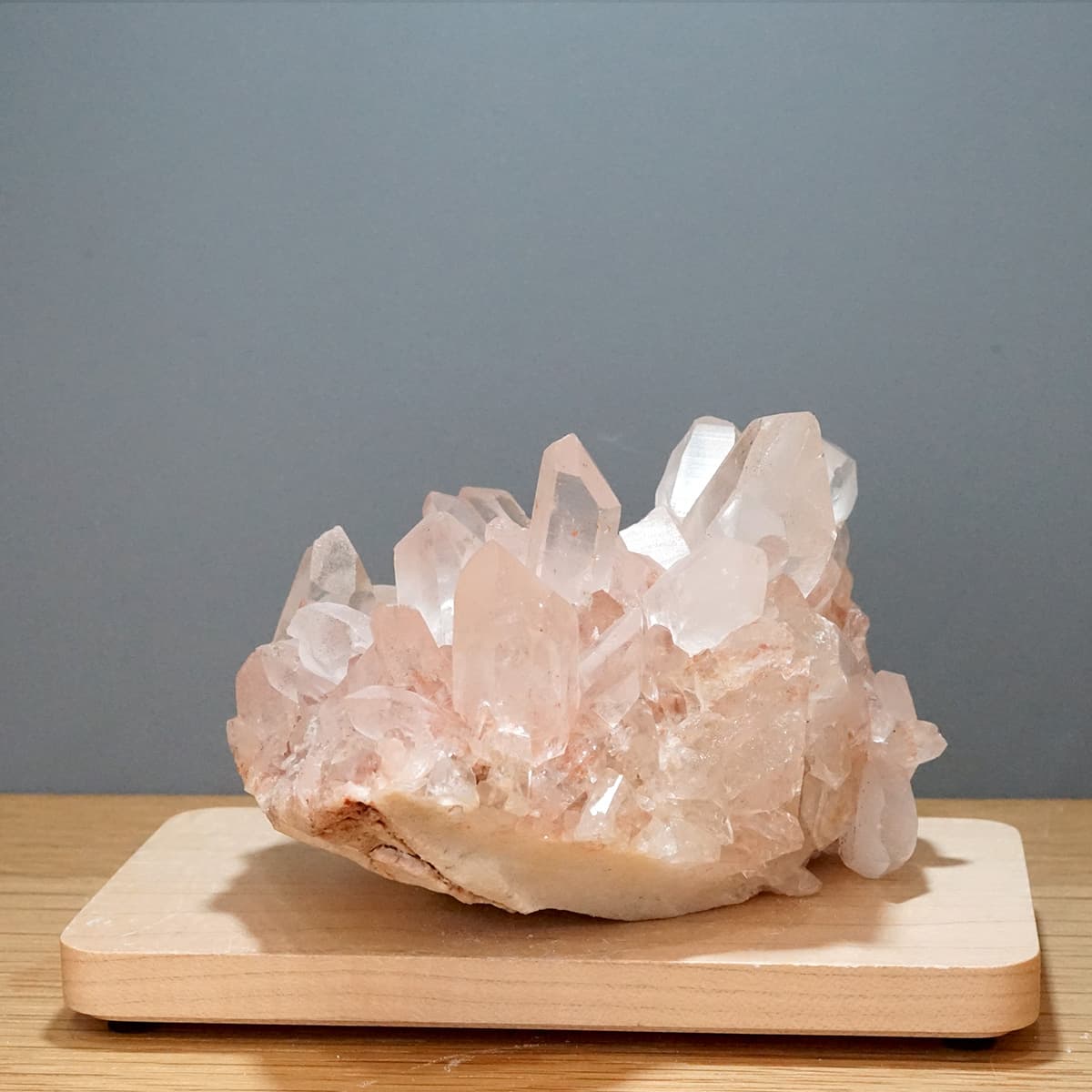 �ҥޥ��徽 ���饹���������Сʥ����ë�� No.9  [ ������ʪ������ʪ ]  