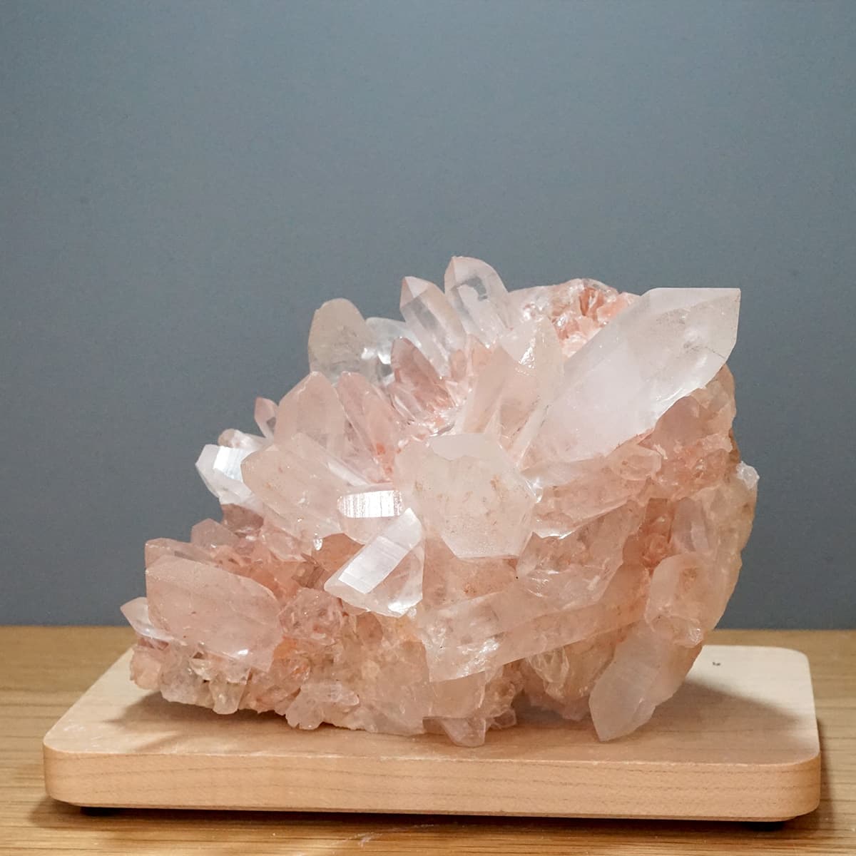 �ҥޥ��徽 ���饹���������Сʥ����ë�� No.9  [ ������ʪ������ʪ ]  