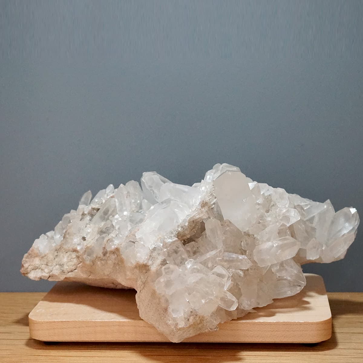 �ҥޥ��徽 ���饹���������Сʥ����ë�� No.11  [ ������ʪ������ʪ ]  