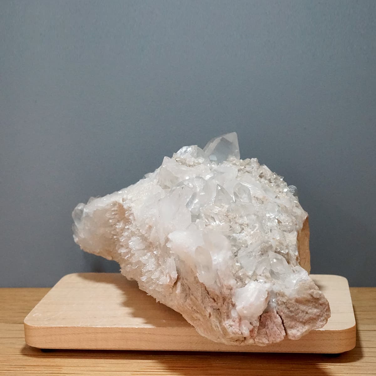 �ҥޥ��徽 ���饹���������Сʥ����ë�� No.11  [ ������ʪ������ʪ ]  